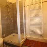 Apartment Au Centre Avec Ascenseur Et Animaux Admis - Fr-1-313-163 *
