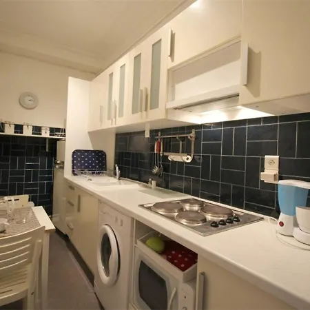 Apartment Au Centre Avec Ascenseur Et Animaux Admis - Fr-1-313-163 *